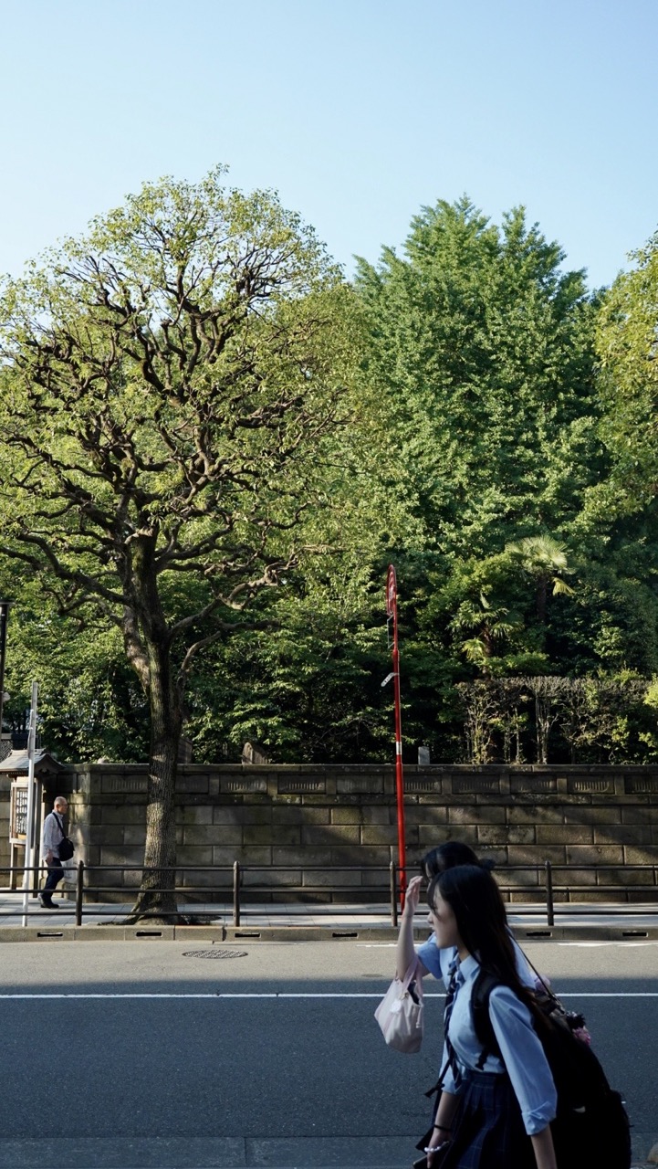 公園